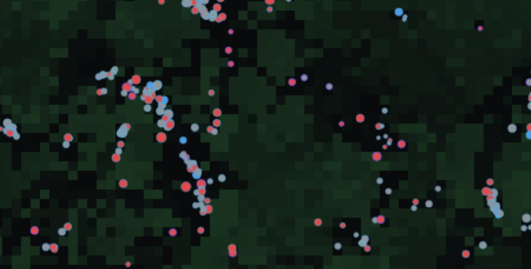The simulated world from above: dark terrain with flocks of creatures of two kinds